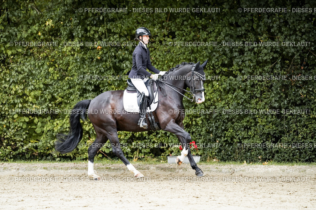 DSC06091 | Pferdegrafie