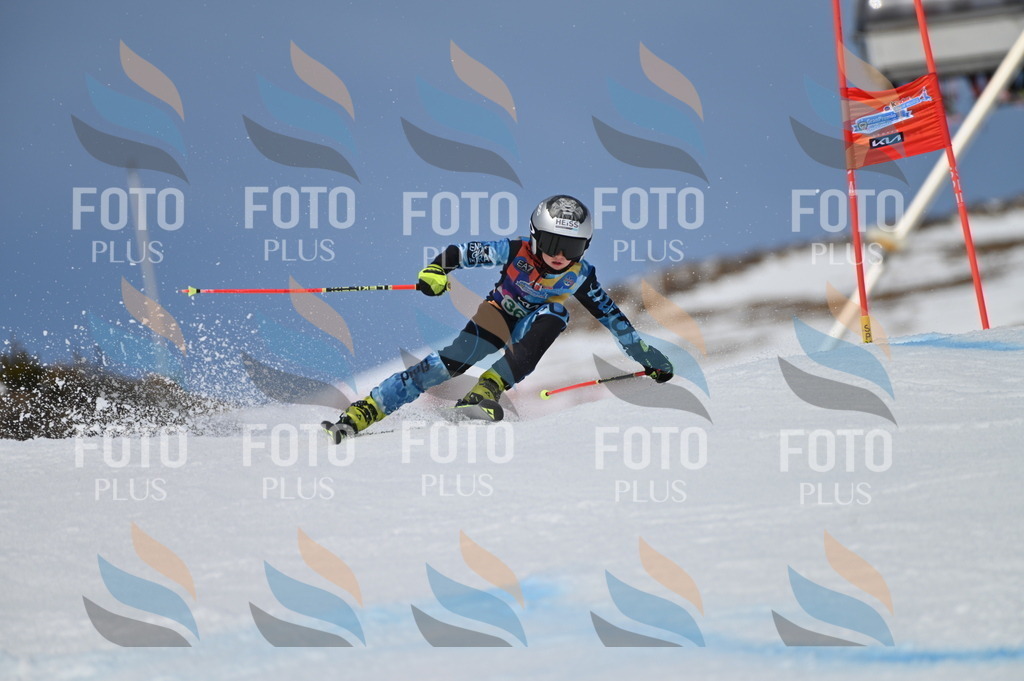 BGV_7250 | holidayphoto