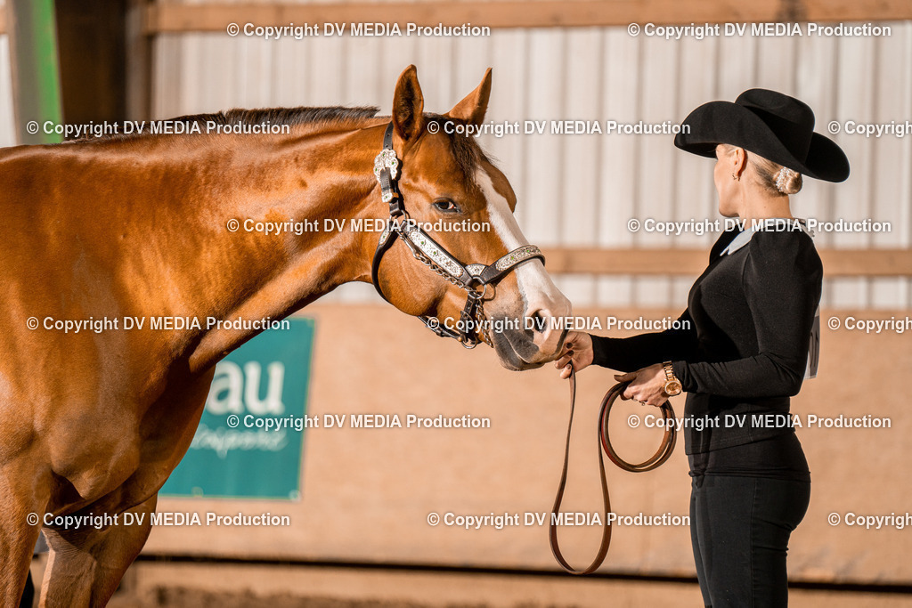 BAL01373 | dv-media-shop - Realisiert mit Pictrs.com