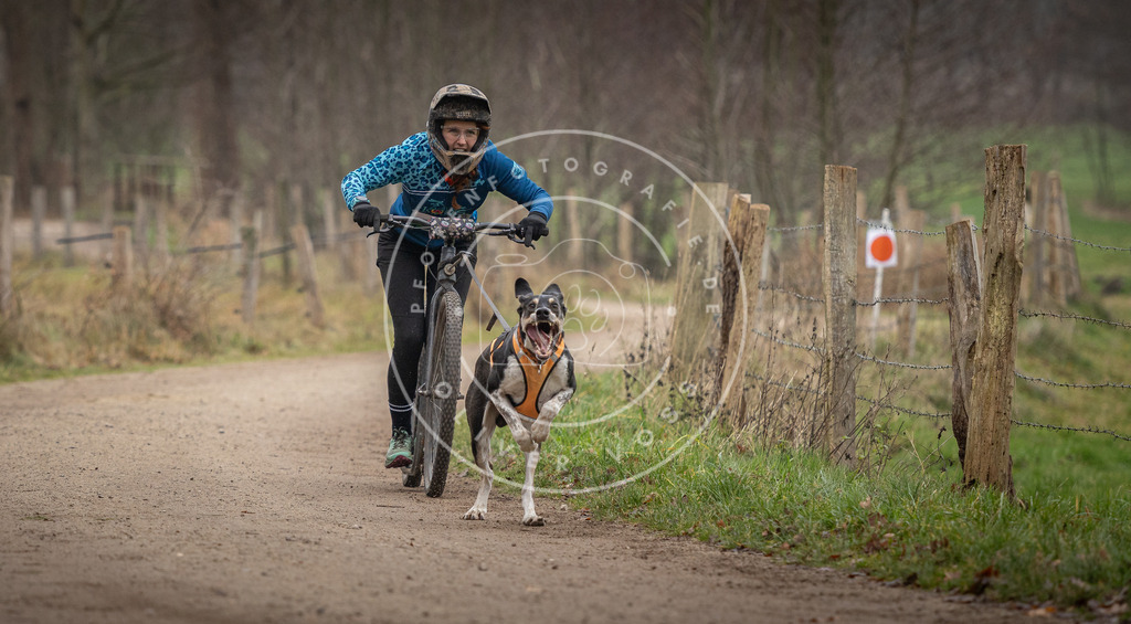 Pfotenfotografie_DV3A2260 | Hundefotografie, Tierfotograf, Pfotenfotografie, Fotoshooting Hund, Hunde Portrait, Hundesport, Hundeportraits, Heideshooting, Hunde, Sportfotograf, Hundefotograf, Turnierhundsport, THS,  - Realisiert mit Pictrs.com