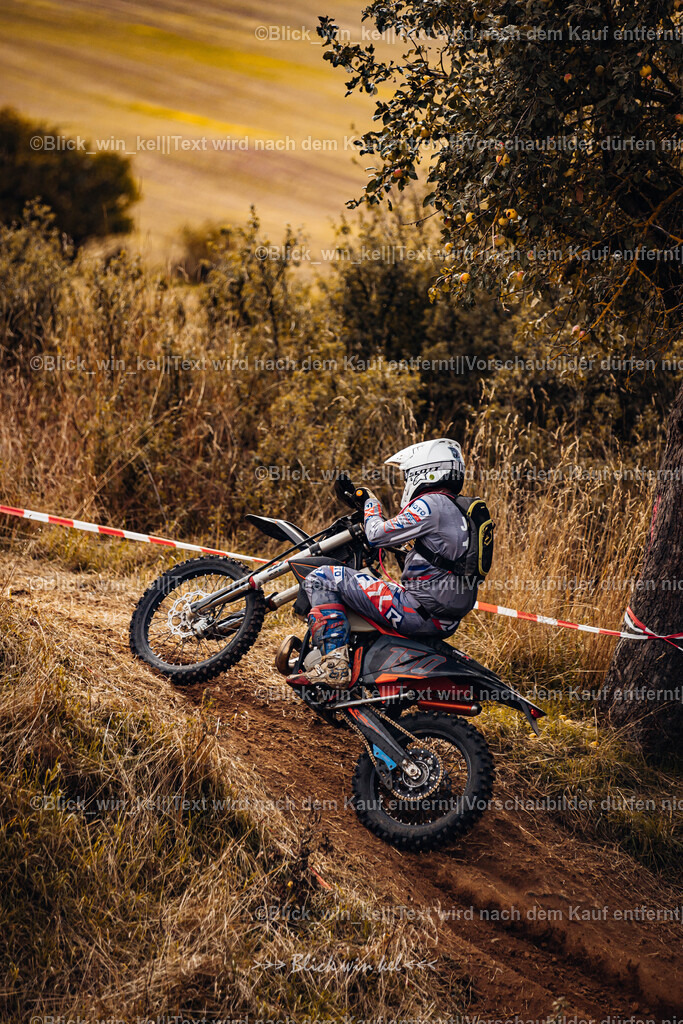 E68A3115 | blick_win_kel