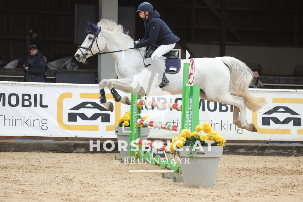 0P6A0935 | Willkommen bei Brunnmayr - Design & Fotografie – Ihrem Spezialisten für Reitturniere und Pferdeveranstaltungen in Oberösterreich, Salzburg und Bayern! Seit über 17 Jahren sind wir leidenschaftlich dabei.
