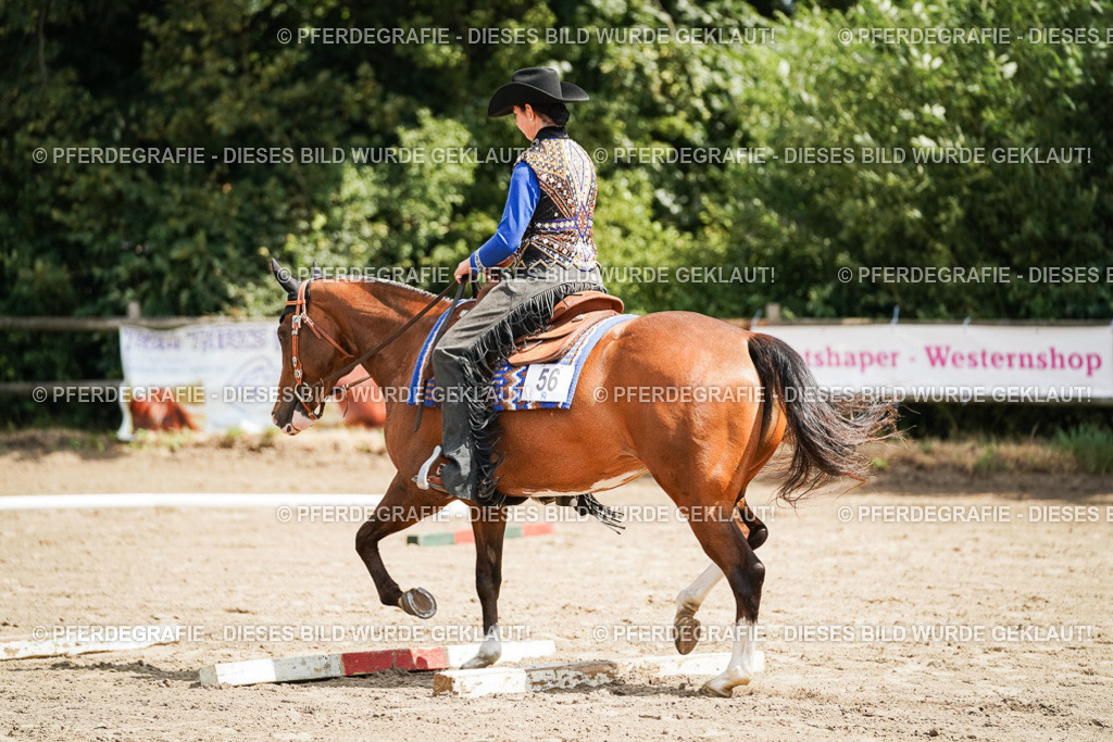 DSC06147 | Pferdegrafie