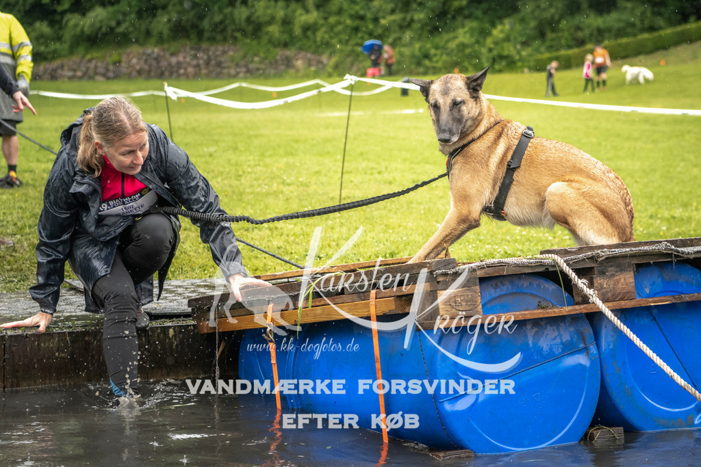 1558_ZZ96105-2 | kk-dogfotos