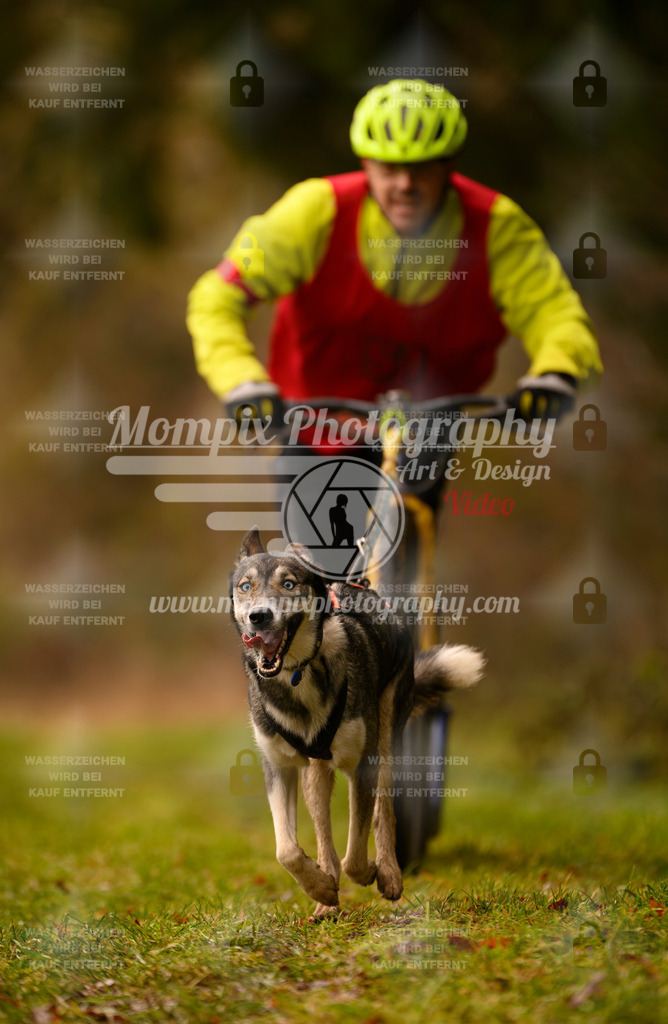 MompixPhotography_2SSTSSBW_2025_SO_Scooter-45 | PayLife