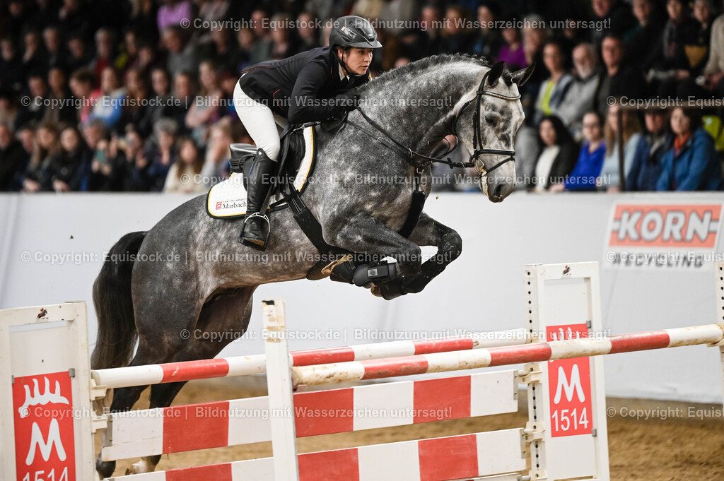 20260307_Hengstvorstellung-Marbach_0114 | equistock