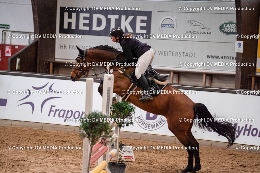 Kranichstein Tag 2-656 | dv-media-shop - Realisiert mit Pictrs.com