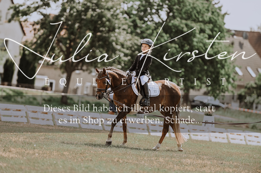 DSC_7591 | Pferde- und Turnierfotografie in Westsachsen. Pferdeportraits, Auftragszeichnungen und intuitive Kunst.
