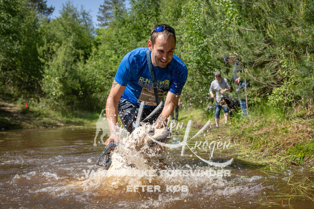 1513DKK992580 | kk-dogfotos