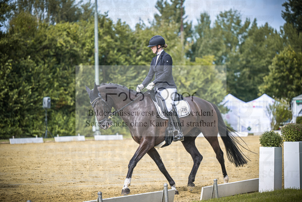 DOS_6116 | Entdecke hochwertige Reitturnierfotos von Foto Oger. Professionell, emotional und authentisch – jetzt Lieblingsmomente im Shop bestellen.Deutschlandweite Turnierfotografie. - Realisiert mit Pictrs.com
