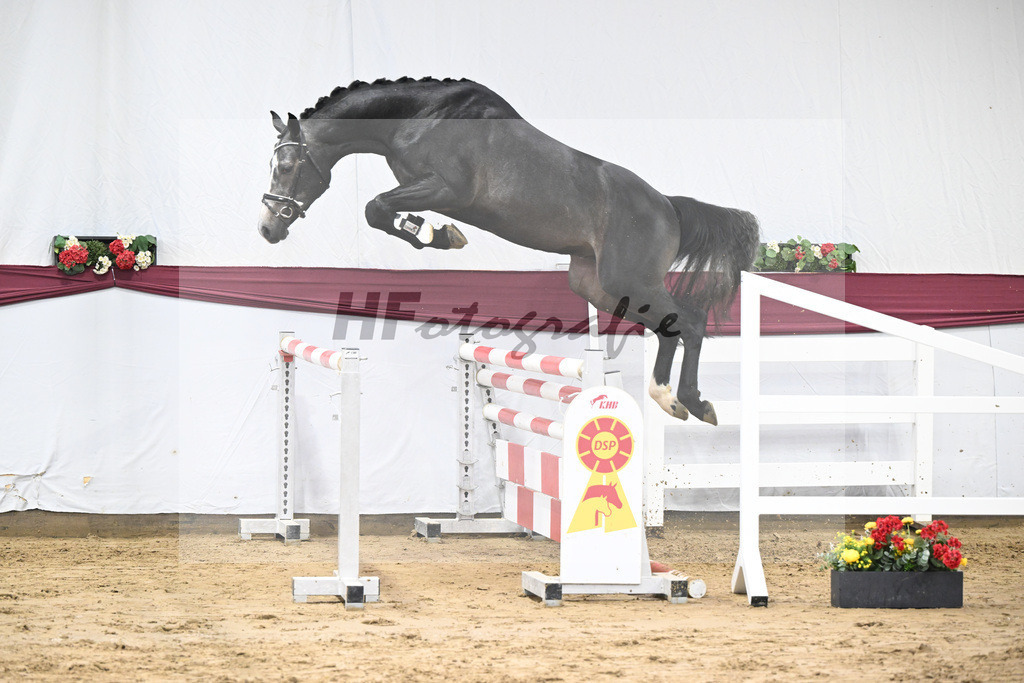 Kat-Nr. 92 Vingino x Stolzenberg_Markus u Leonhard Diez_47252660 | hf-fotografie - Realisiert mit Pictrs.com