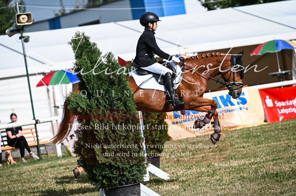 DSC_7776 | Pferde- und Turnierfotografie in Westsachsen. Pferdeportraits, Auftragszeichnungen und intuitive Kunst.