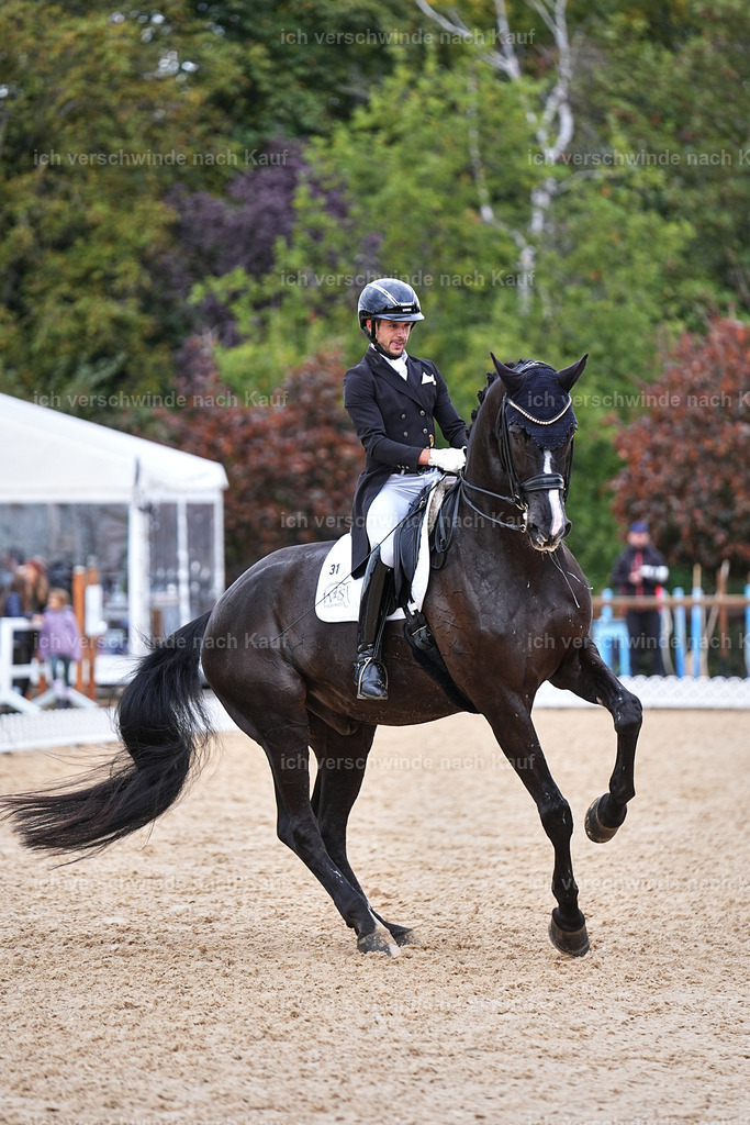 12-031-DRESSUR  S___  -Marixx-5229 | working equitationturnier fotograf videograf stoibphotography marixx film working equitation deutschland reitsport turnierfotografie eventfotografie equestrian events