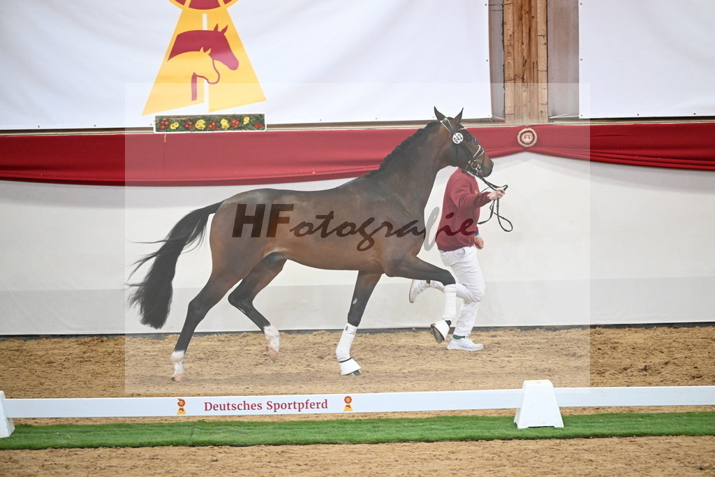 Kat.-Nr. 42 v. Benicio_De Vittorio_2250034 | hf-fotografie - Realisiert mit Pictrs.com