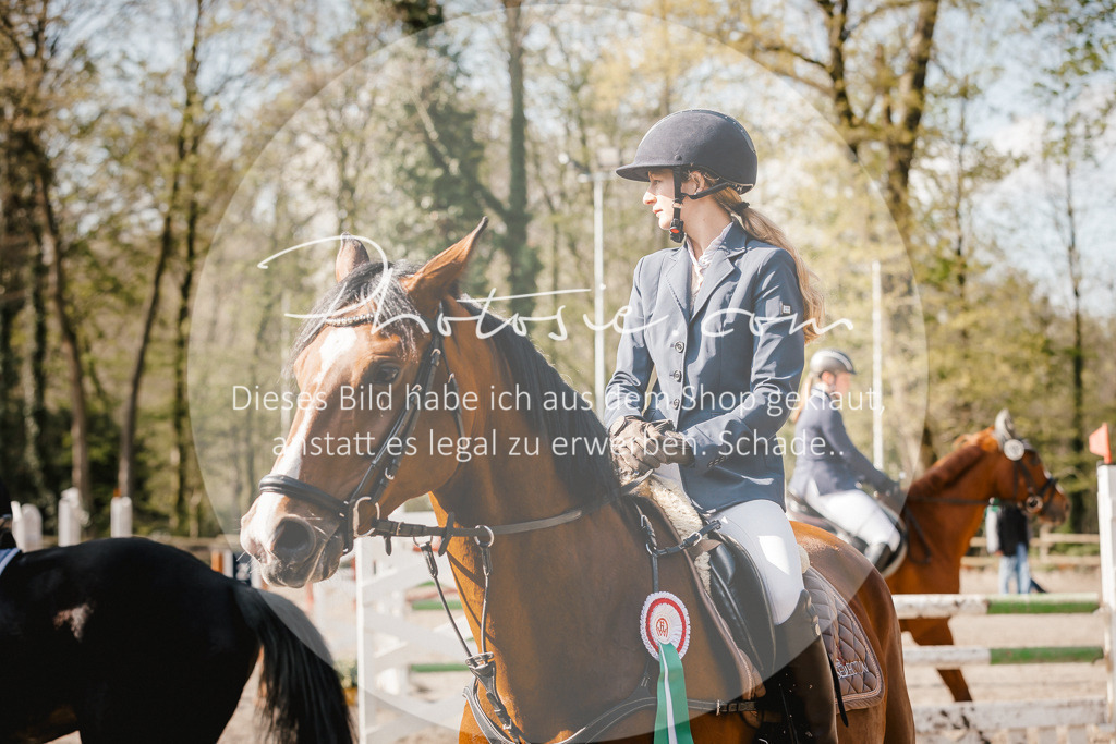 3I6A3806 | Stimmungsvolle Portraits und Reitsportfotografie im Ruhrgebiet und im Münsterland.

Pferdefotografie, Hundefotografie, Tierfotografie, Reportagen, Portraits von Tier und Mensch, Turnierfotografie in Bochum, Recklinghausen, Marl, Haltern am See, Dülmen.. - Realisiert mit Pictrs.com