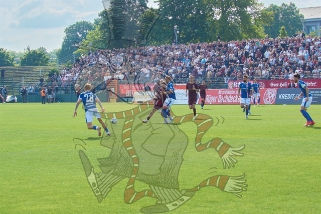 BFC Dynamo vs. FC Energie Cottbus 067 | mythos-online-redaktion