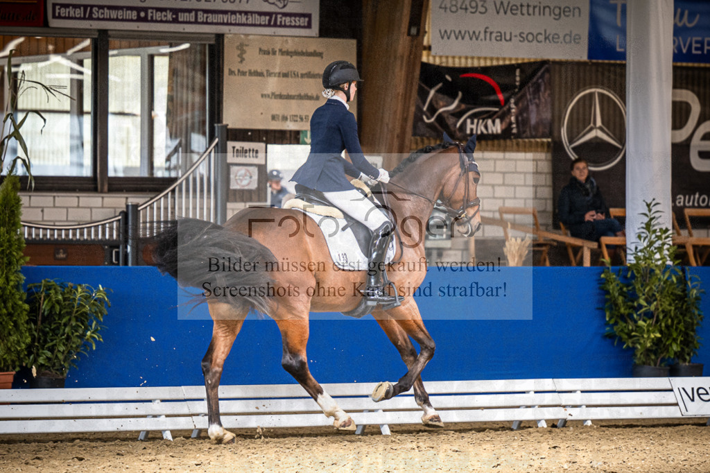 DOS_0819 | Entdecke hochwertige Reitturnierfotos von Foto Oger. Professionell, emotional und authentisch – jetzt Lieblingsmomente im Shop bestellen.Deutschlandweite Turnierfotografie. - Realisiert mit Pictrs.com