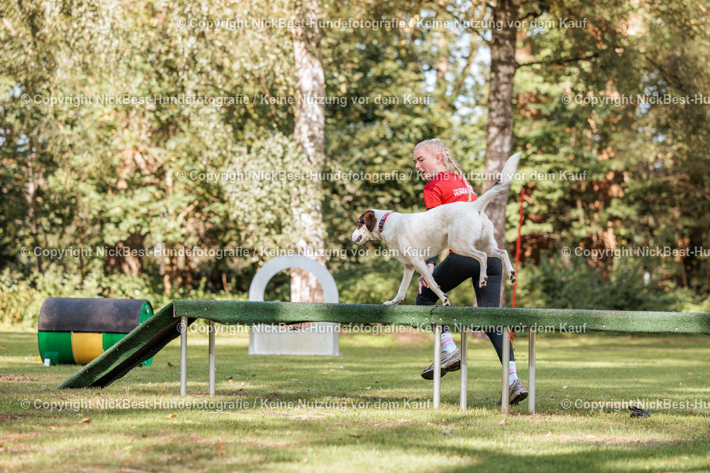 THS-HSV-Blumenthal-2026-Nickbest-Hundefotografie-4903 | Dein Hund! Dein Moment! Deine Erinnerungen! Hundefotografie in Bremen Blumenthal. Ich fange die besonderen Momente deines Vierbeiners ein – ob Indoor mit Blitzanlage oder in der freien Natur. Sicher dir dein Moment und dein Termin für eure Erinnerungen.