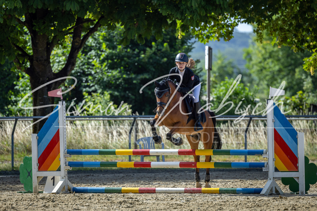 20260704-_3LI7140 | Tierfotografie Pferde, Hunde, Katzen, Haustiere.
Turnierfotografie Reitturniere, Reiten, Springreiten, Dressur in Hanau, dem Main-Kinzig-Kreis und dem Rhein-Main- Gebiet um Frankfurt