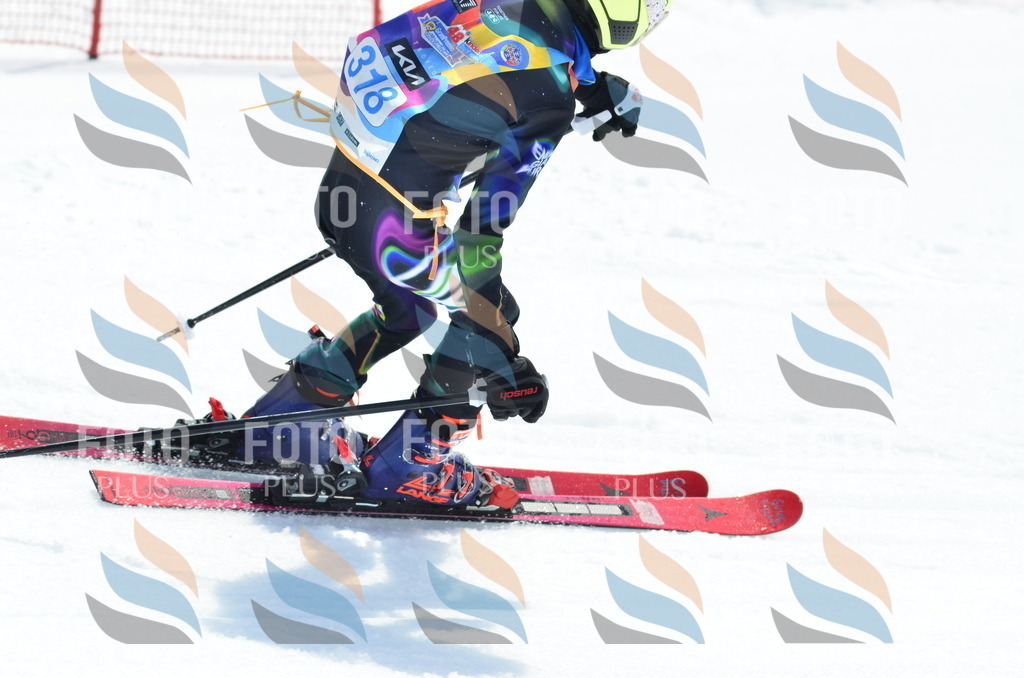 _ELE2440 | holidayphoto