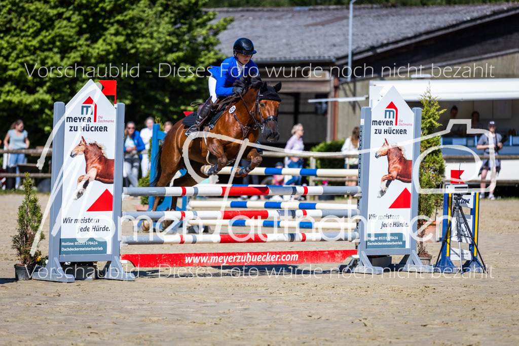 Donop24-A2Spr-167 | MomenTaufnahmen Pferdesportfotos