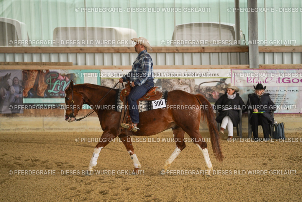 DSC04106 | Pferdegrafie