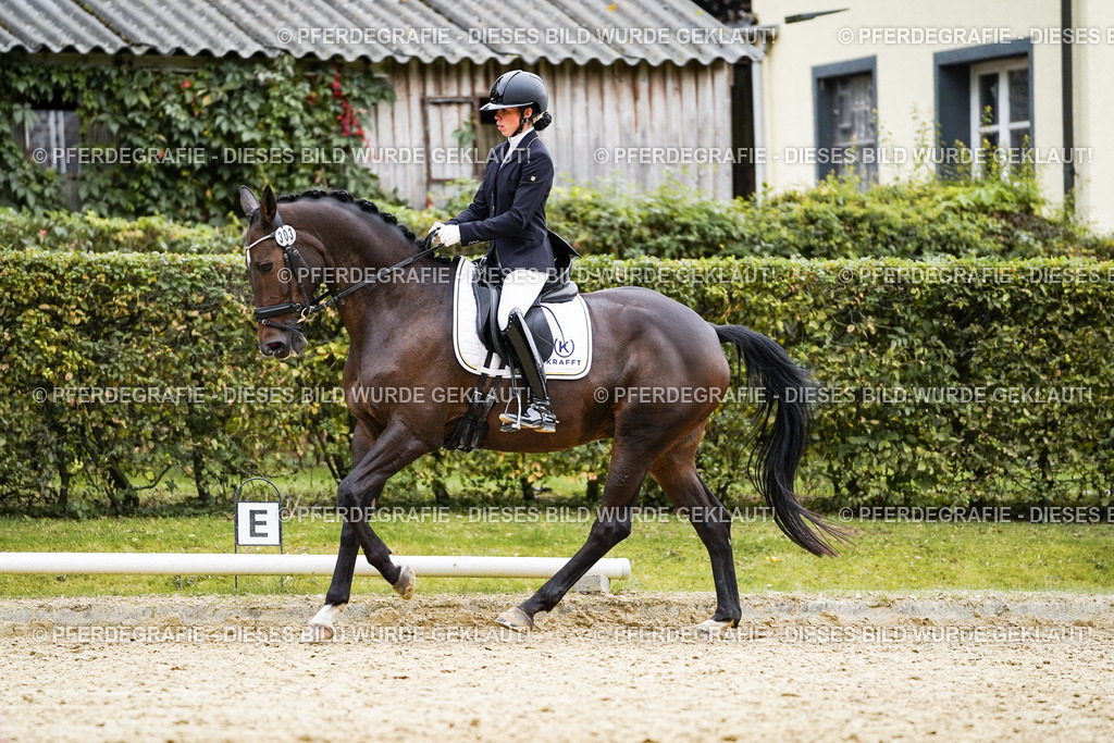 DSC00929 | Pferdegrafie