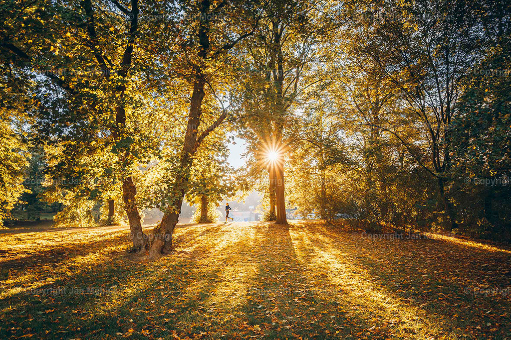 Clara Park | Der Clara-Zetkin-Park in Leipzig ist ein beliebter Ort für Natur, Sport und Erholung – perfekt für Spaziergänge, Jogging und entspannte Stunden im Grünen. - Realisiert mit Pictrs.com