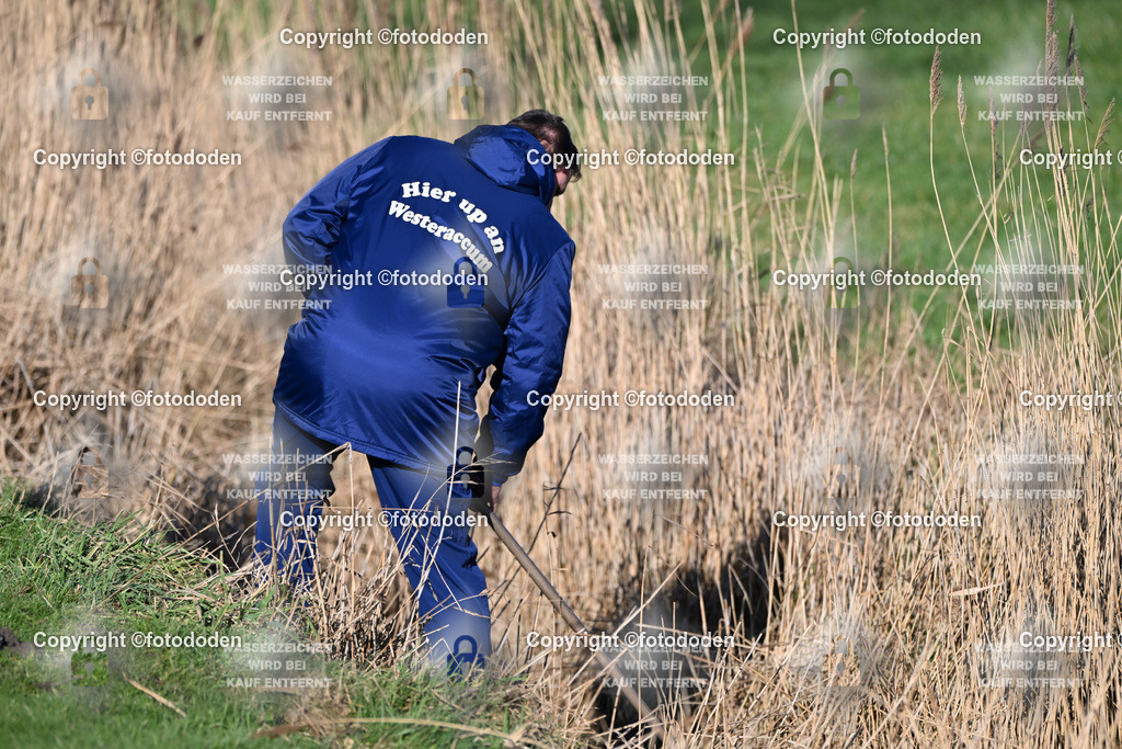 DSC_3505 | Westeraccum 