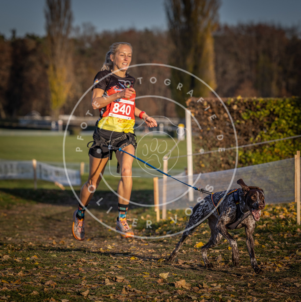 CaniXpix_DV3A3636 | Hundefotografie, Tierfotograf, Pfotenfotografie, Fotoshooting Hund, Hunde Portrait, Hundesport, Hundeportraits, Heideshooting, Hunde, Sportfotograf, Hundefotograf, Turnierhundsport, THS,  - Realisiert mit Pictrs.com