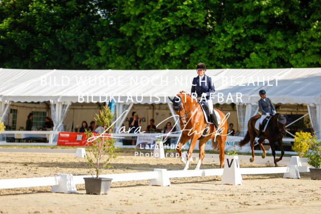 _62_2394 | larahueckfotografie