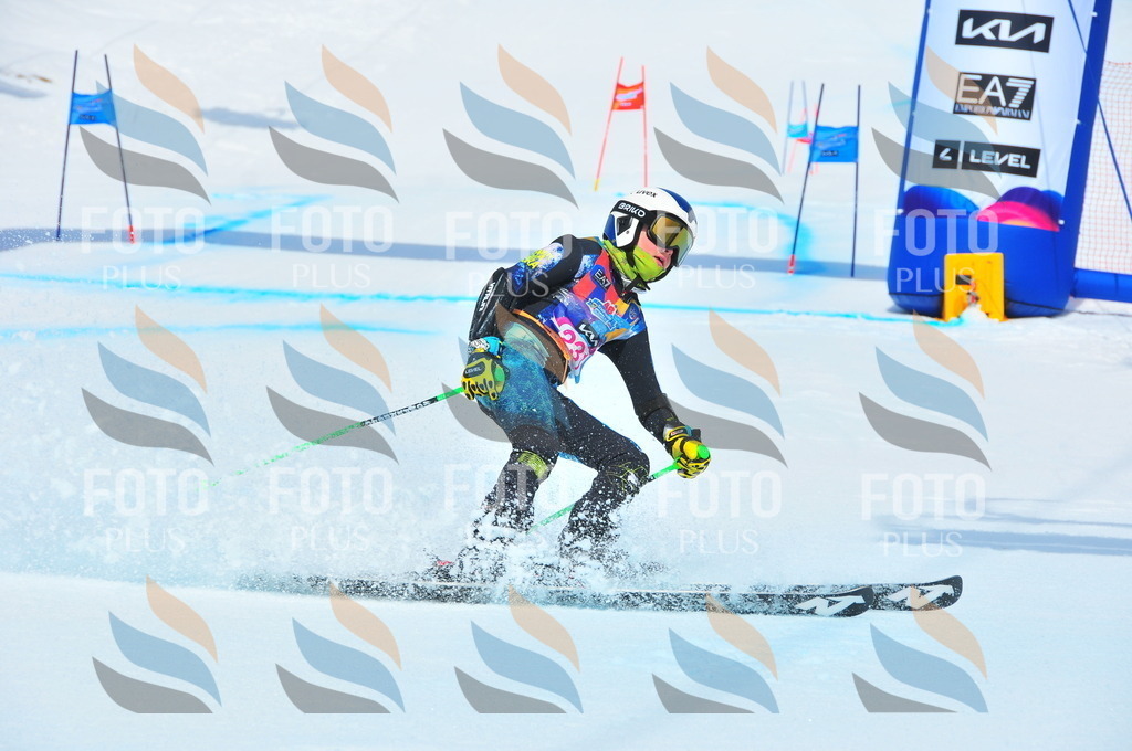 DSC_5883 | holidayphoto