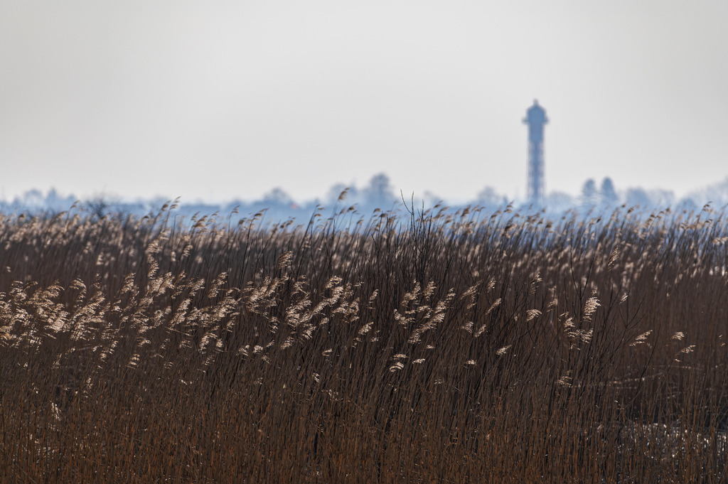 2024_03_03_HETLINGER SCHANZE_MCP6911 | Hochwertig gedruckte Fotografien für die Wand, als Kalender und zum Verschenken. Hamburg & Norddeutschland und überall wo ich mit der Kamera unterwegs war.