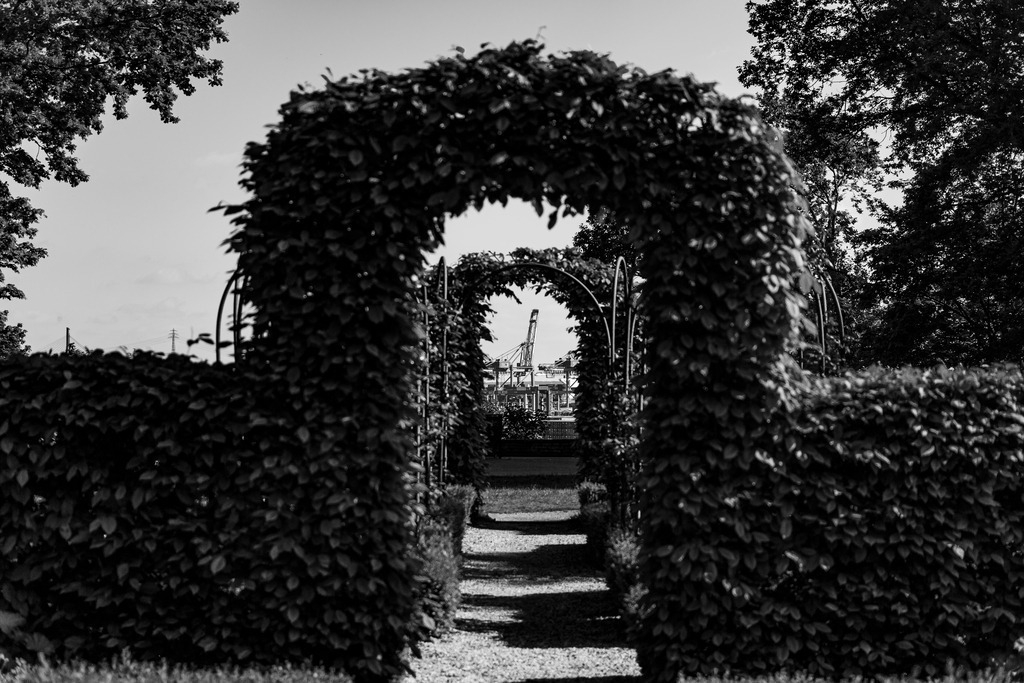 _MSC2108 | Fotografie, Shop, Art, Kunst, Feuer, Schwarzweiß, SW, BW, Black and White, Foto, Hamburg, Hamburger Hafen, Hamburg City, Hafen, Fotokunst, Photoart, Feuer, Feuerfotos, fire, fire photo - Realisiert mit Pictrs.com