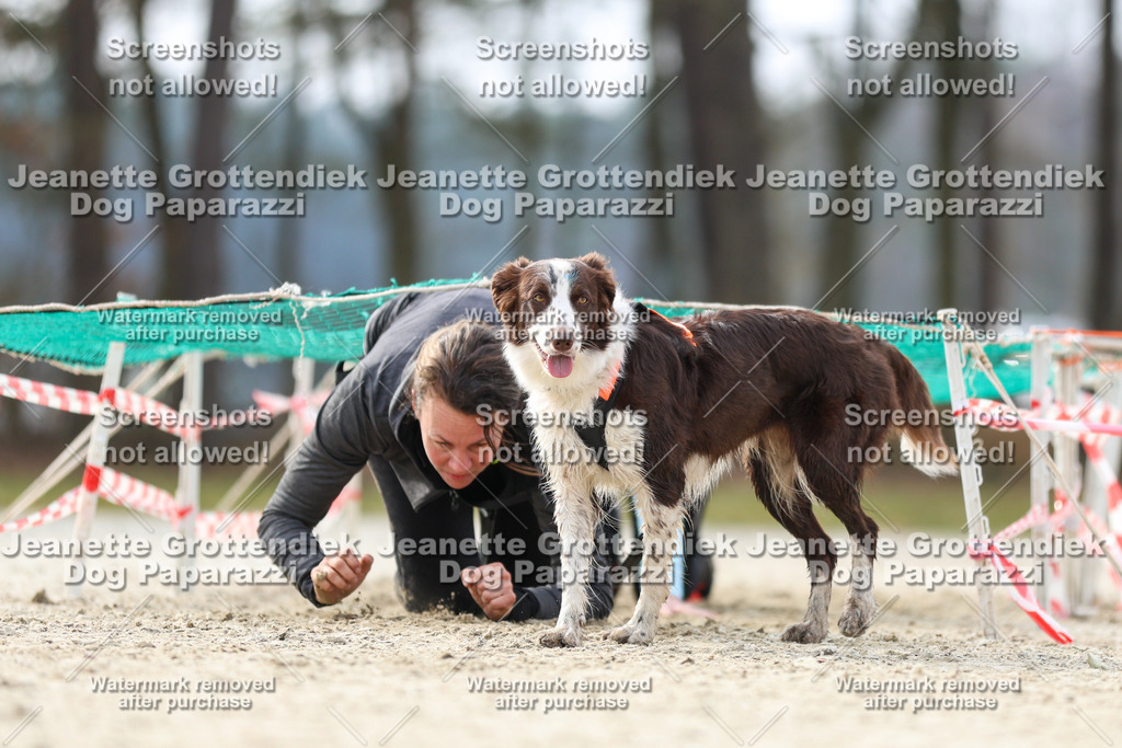 Dog Paparazzi - Strongdog North Mrz26-5309 | Dog Paparazzi Jeanette Grottendiek Fotografie & Videografie - Realisiert mit Pictrs.com