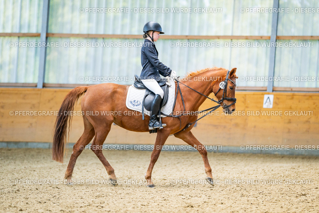 DSC03207 | Pferdegrafie