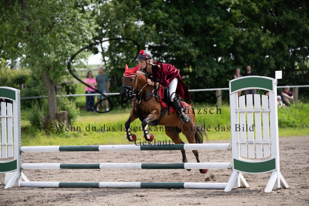 A7V04756 | Pferdefotograf