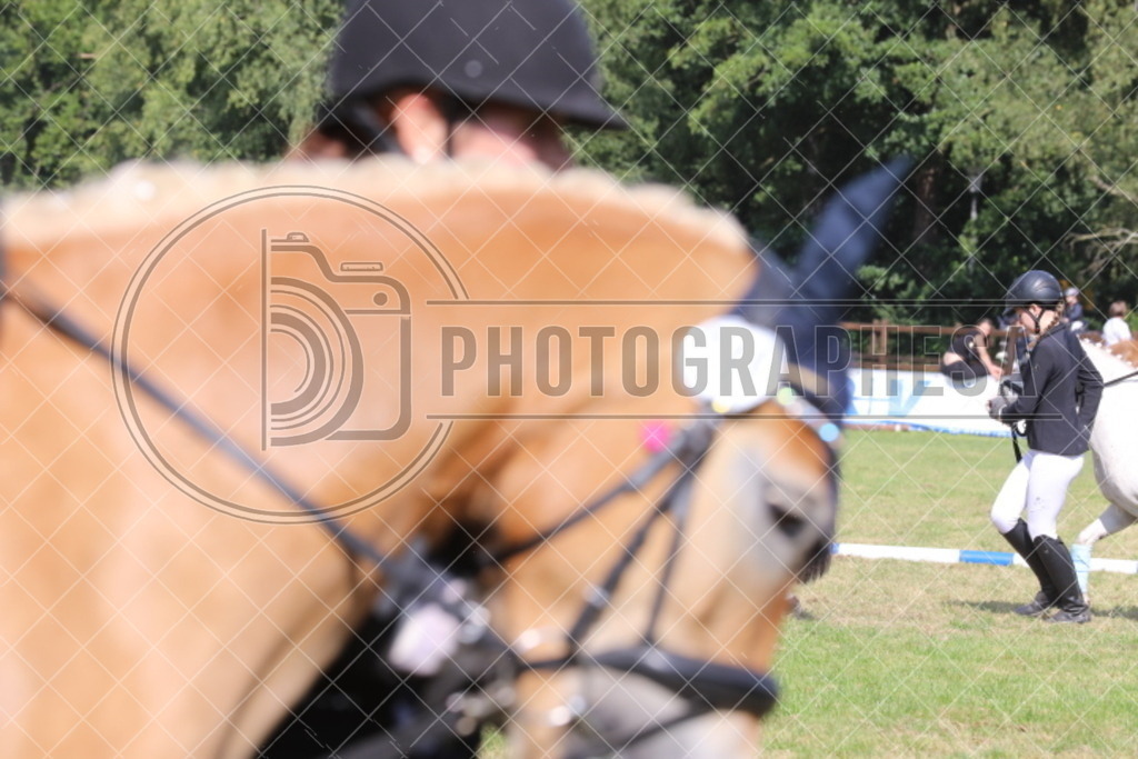 IMG_7564 | photographesa-joergens - Realisiert mit Pictrs.com