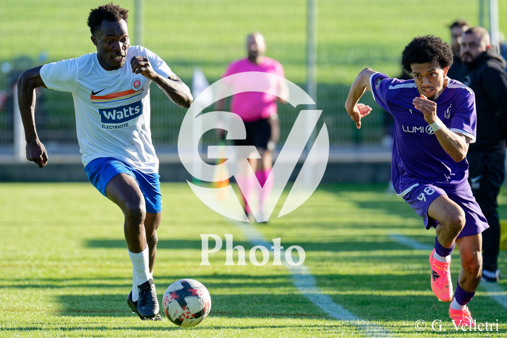 DSC_6370 | Velletri Photo