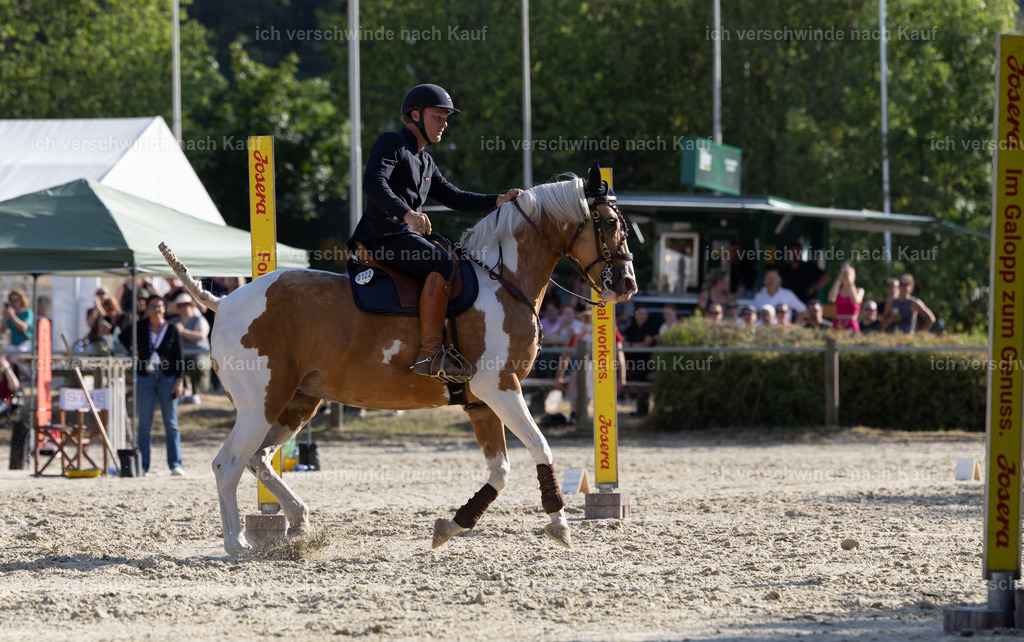 WS_SPEED_122_KerstinBernhardt-2 | working equitationturnier fotograf videograf stoibphotography marixx film working equitation deutschland reitsport turnierfotografie eventfotografie equestrian events