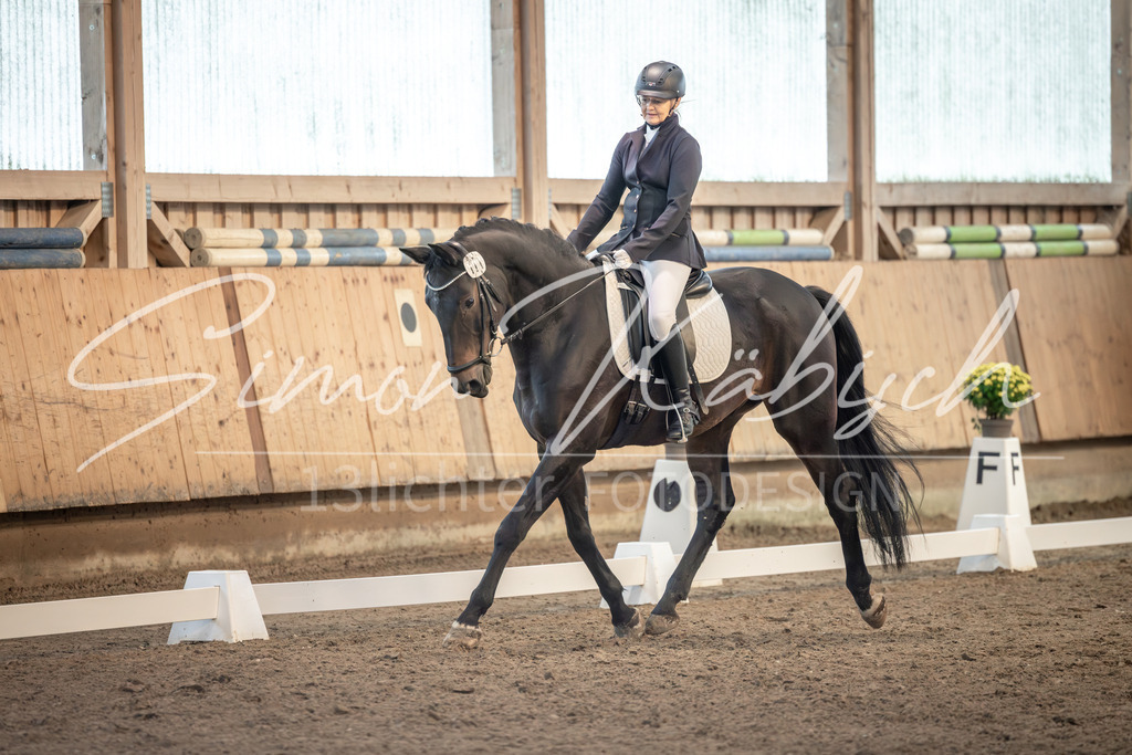 20251011-_3LI6385 | Tierfotografie Pferde, Hunde, Katzen, Haustiere.
Turnierfotografie Reitturniere, Reiten, Springreiten, Dressur in Hanau, dem Main-Kinzig-Kreis und dem Rhein-Main- Gebiet um Frankfurt