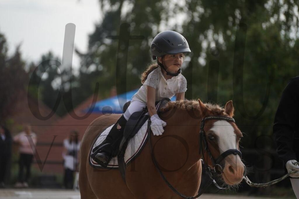 tgbhsamstag (2431) | d.tail Visions - Shop - Realisiert mit Pictrs.com