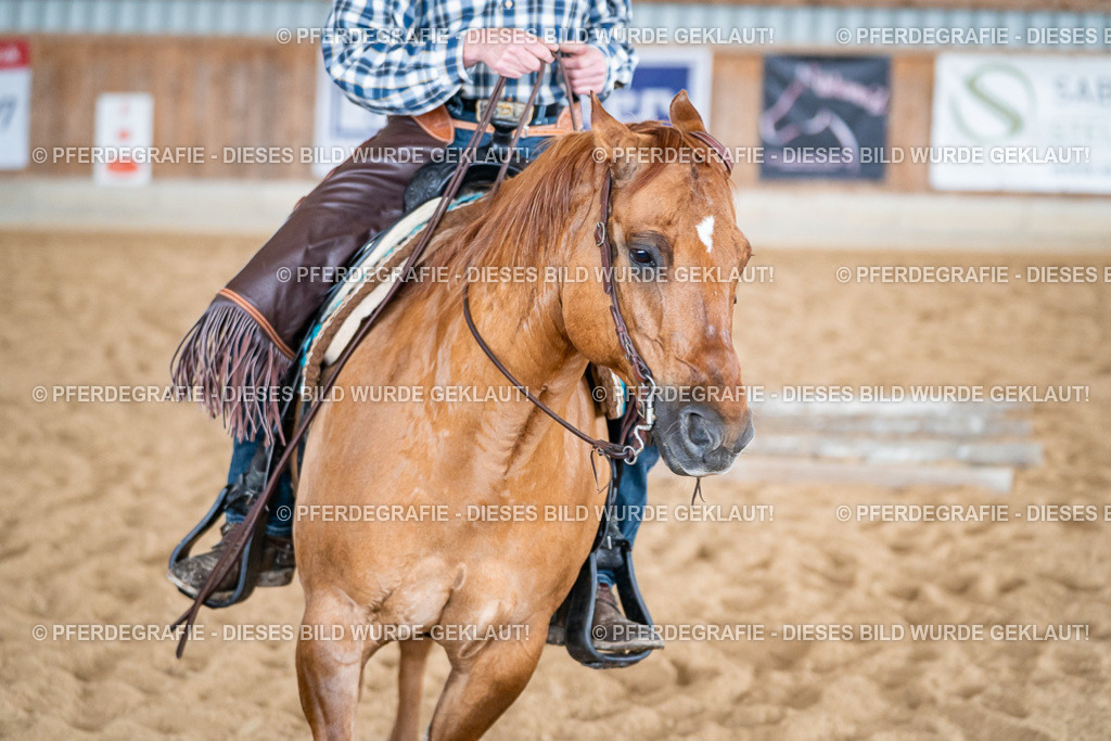 DSC07374 | Pferdegrafie