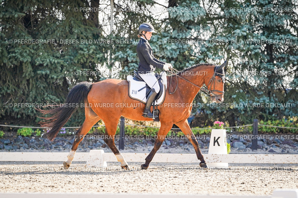 DSC09647 | Pferdegrafie