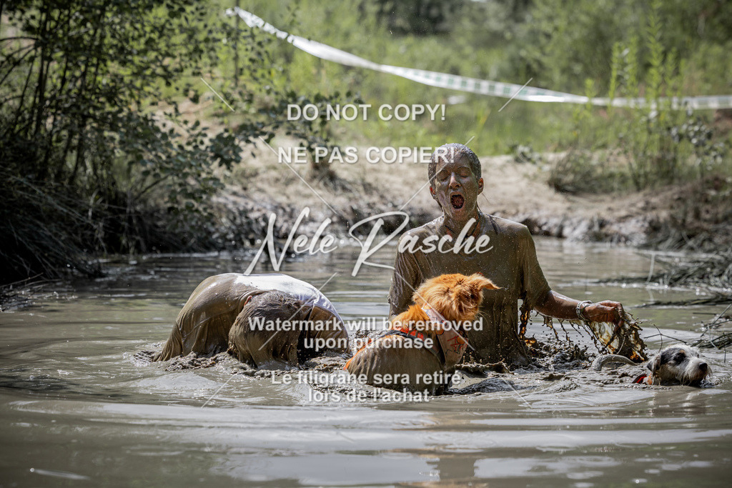nelerasche_so1145-1230_21 | nelerasche