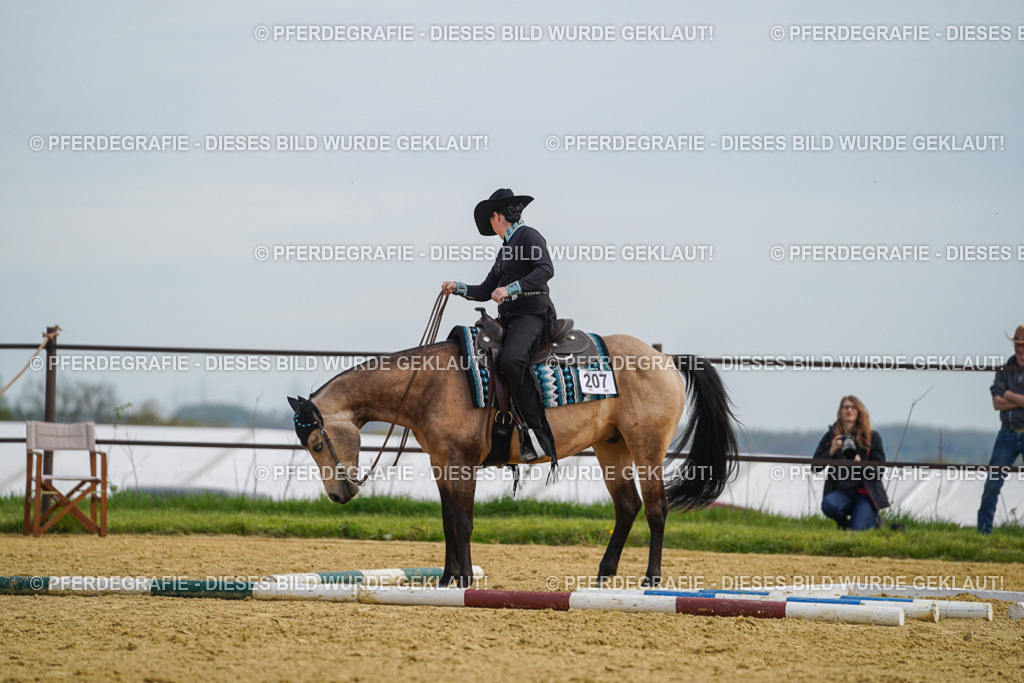 DSC03855 | Pferdegrafie