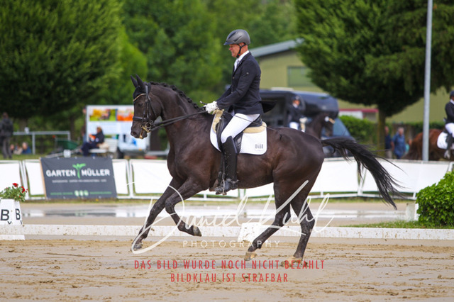 DKP40719 | Turniersportfotografie; Pferdefotografie; Dressurfotografie