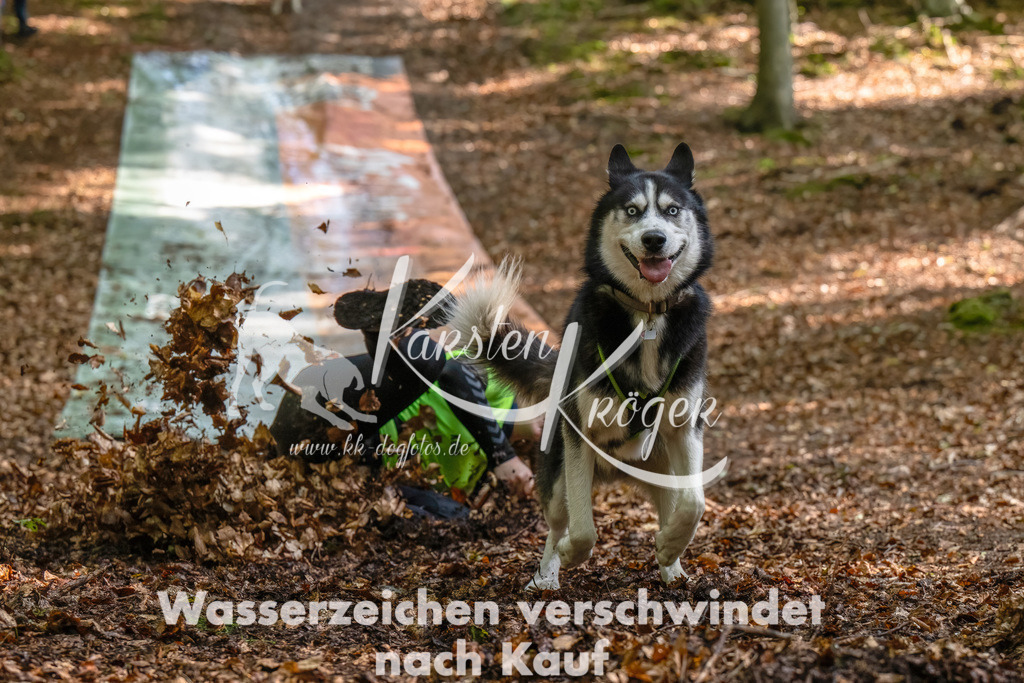 1207_ZZ93187-Bearbeitet-3 | kk-dogfotos
