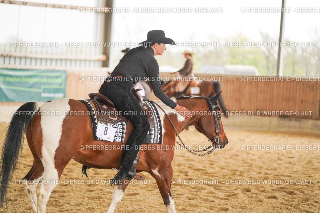 DSC04353 | Pferdegrafie