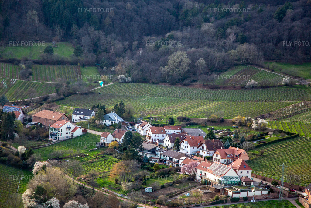 Luftbild: Gleitschirm im Landanflug zum Weyher Parkplatz in Weyher in der Pfalz im Bundesland Rheinland-Pfalz in Deutschland. Foto: IMG_140026.jpg vom 14.03.2024 durch Werner Riehm/FLY-FOTO.de